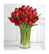 Букет з 31 червоного тюльпана